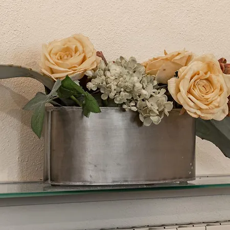 H11 Honey-moon - Centro * Санремо