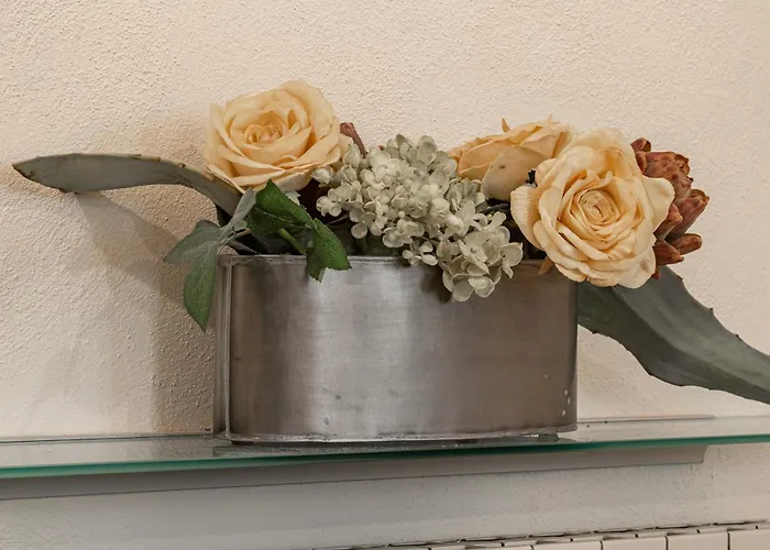 H11 Honey-moon - Centro * Sanremo